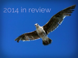 2014 in review